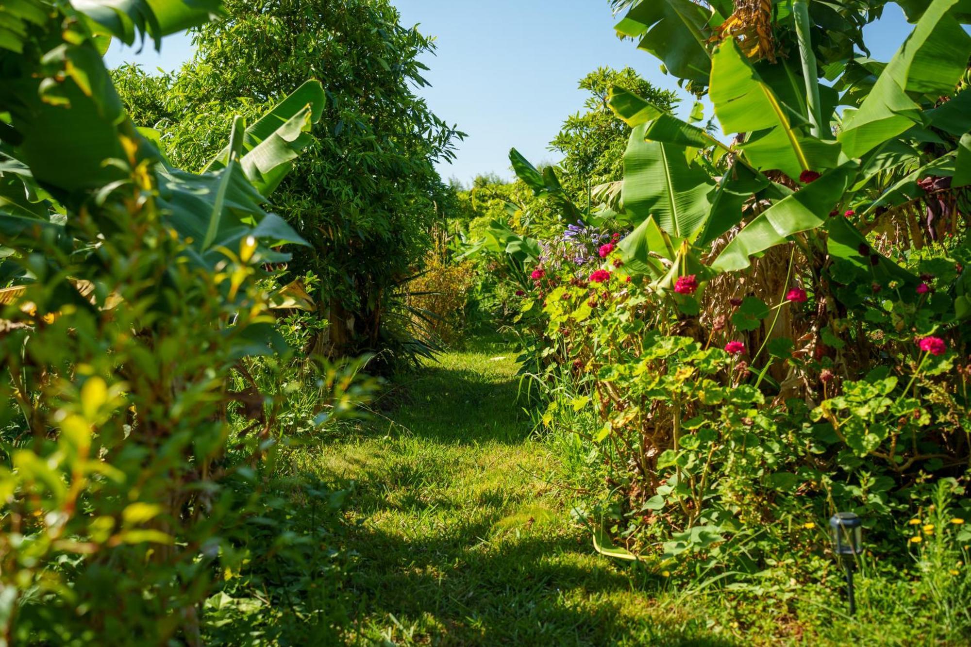 The Plantation Faial Panzió Feteira Kültér fotó